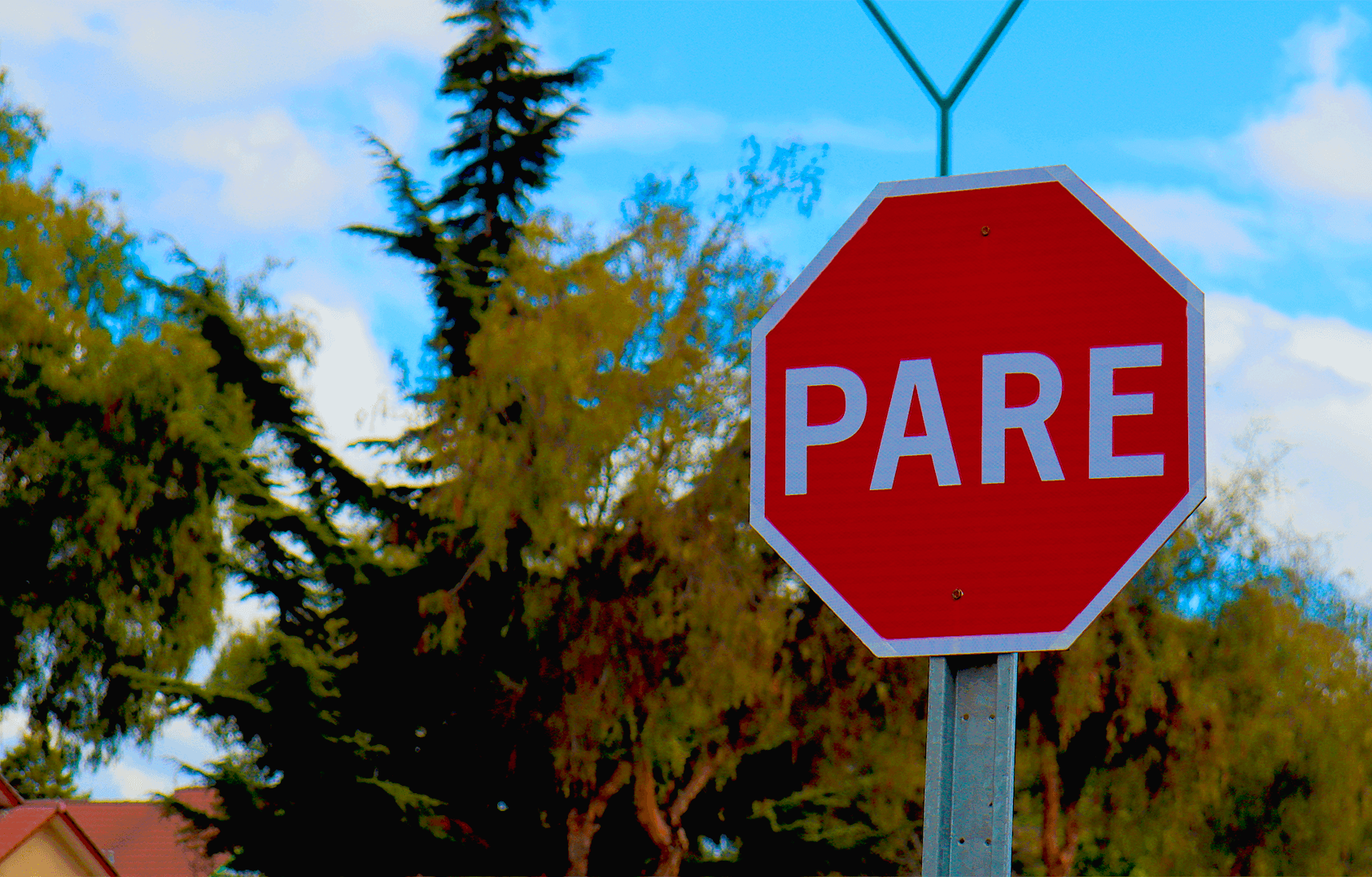 Señales de tránsito en Chile: guía completa para nuevos conductores